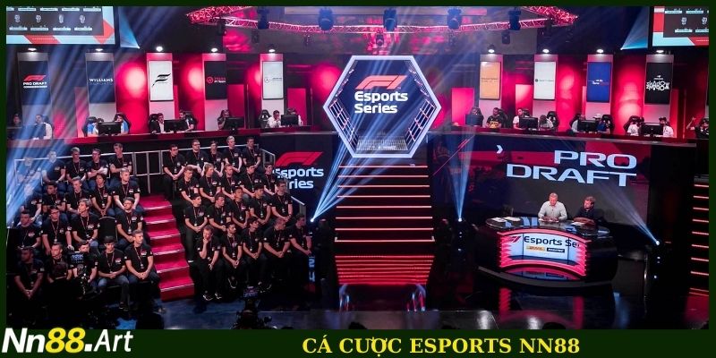 Cá cược Esports cùng NN88